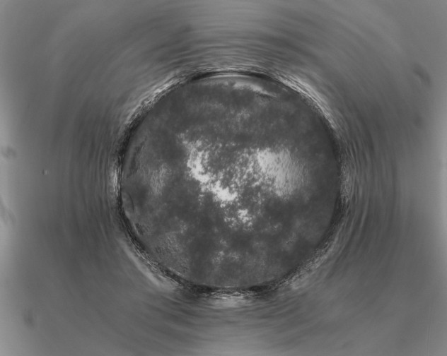 X0000091100405200708061424