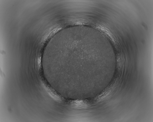 X0000091100406200708061424