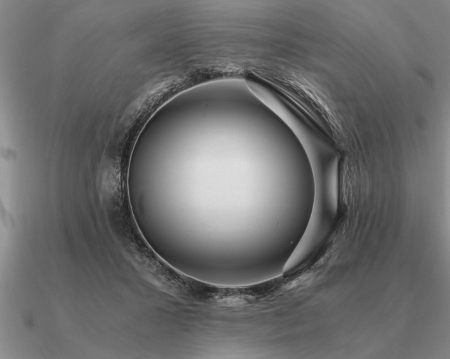 X0000091100407200708061424