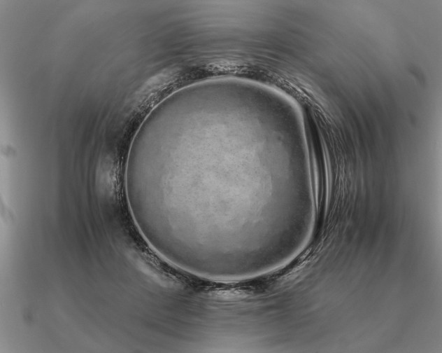 X0000091100408200708061424