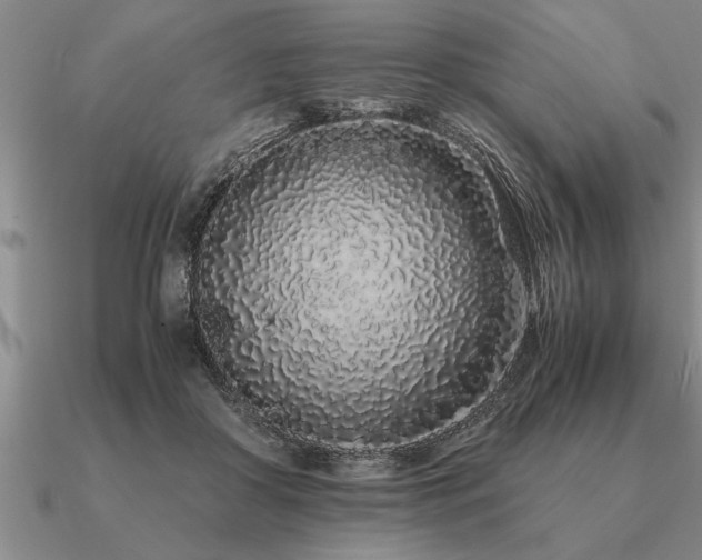 X0000091100410200708061424