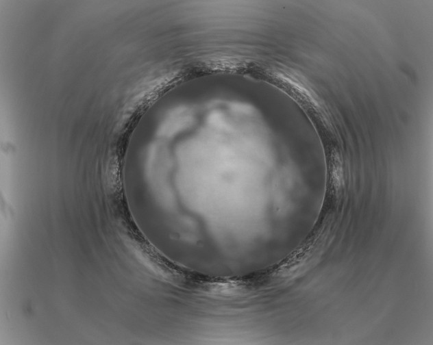 X0000091100411200708061424