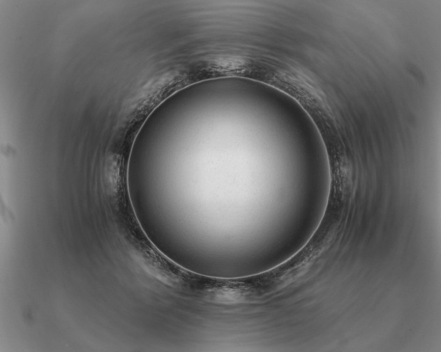 X0000091100412200708061424