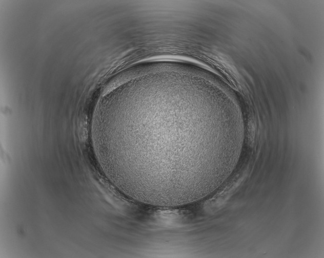 X0000091100413200708061424