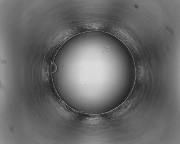 X0000091100414200708061424