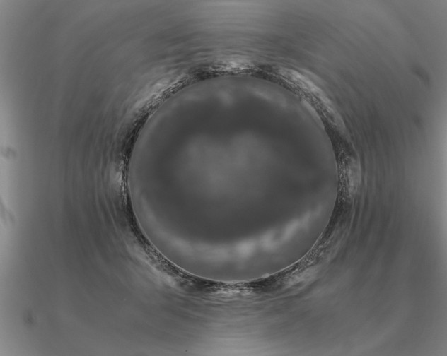 X0000091100415200708061424