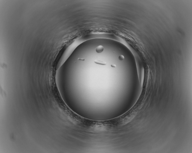 X0000091100416200708061424