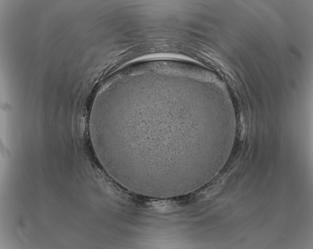 X0000091100417200708061424