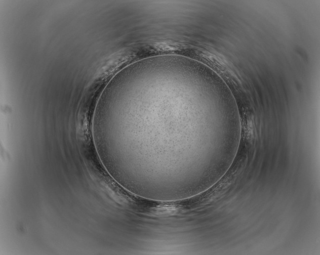 X0000091100418200708061424