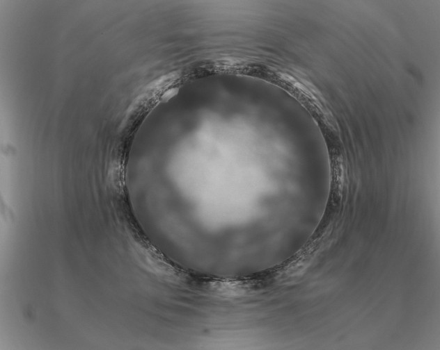 X0000091100419200708061424