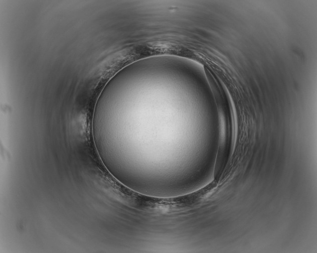 X0000091100420200708061424