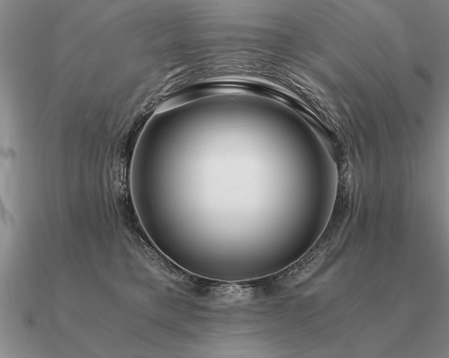 X0000091100421200708061424