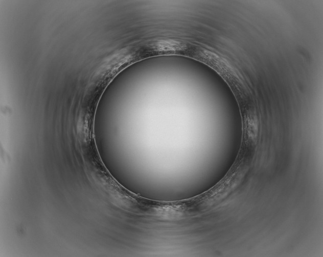 X0000091100422200708061424