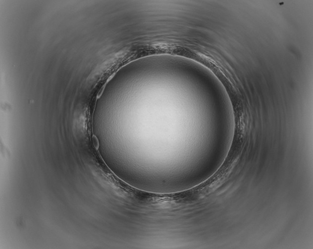 X0000091100424200708061423