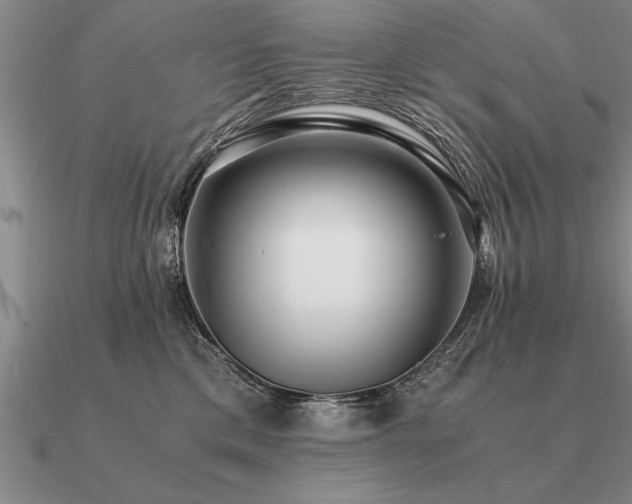 X0000091100425200708061423