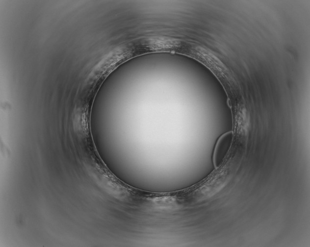 X0000091100426200708061423