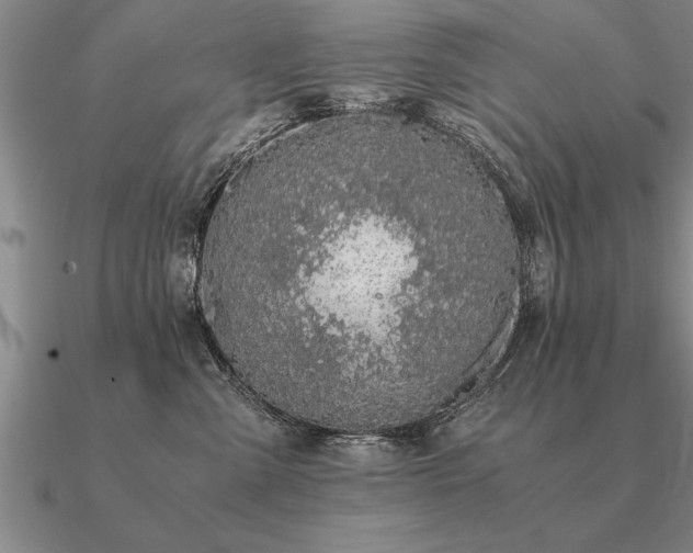 X0000091100427200708061423