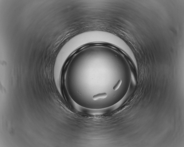 X0000091100428200708061423