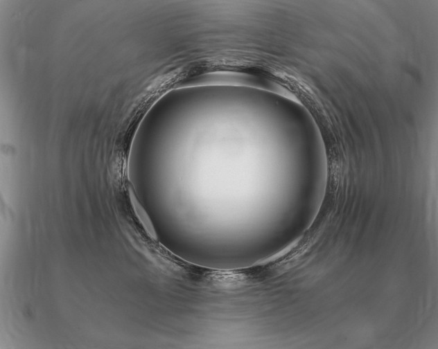 X0000091100429200708061423