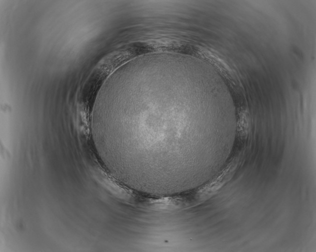 X0000091100430200708061423