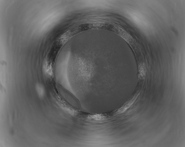 X0000091100431200708061423