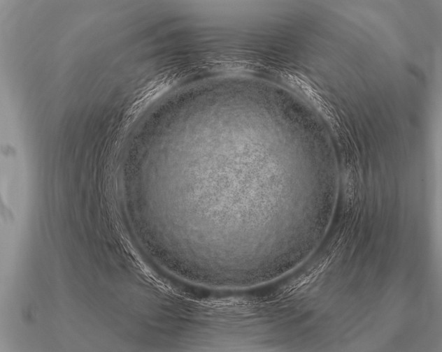 X0000091100433200708061423