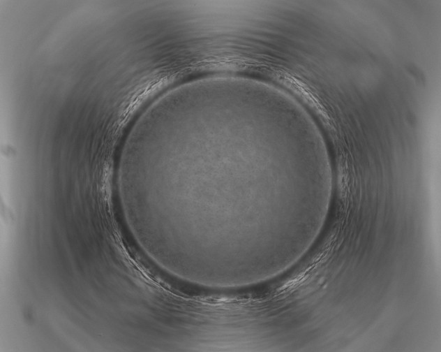 X0000091100434200708061423