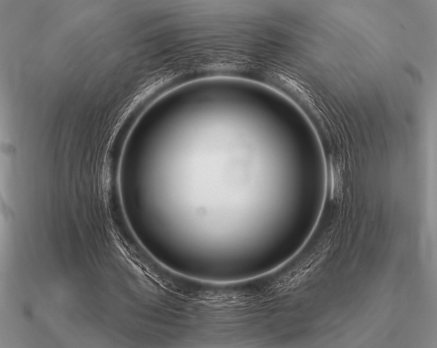 X0000091100435200708061423