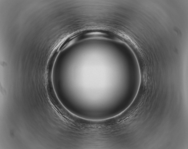 X0000091100436200708061423