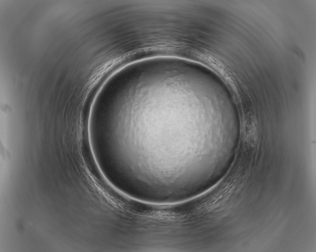 X0000091100437200708061423