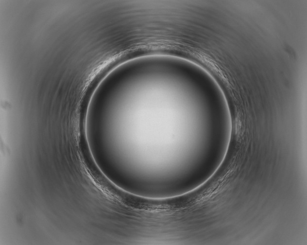 X0000091100438200708061423