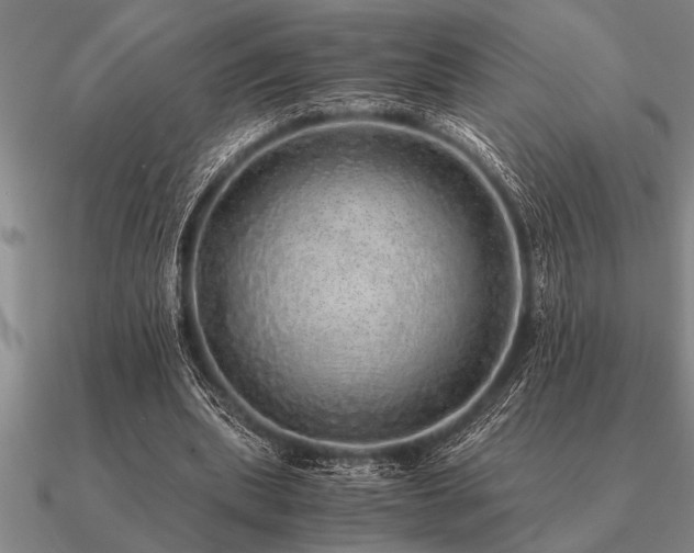 X0000091100439200708061423