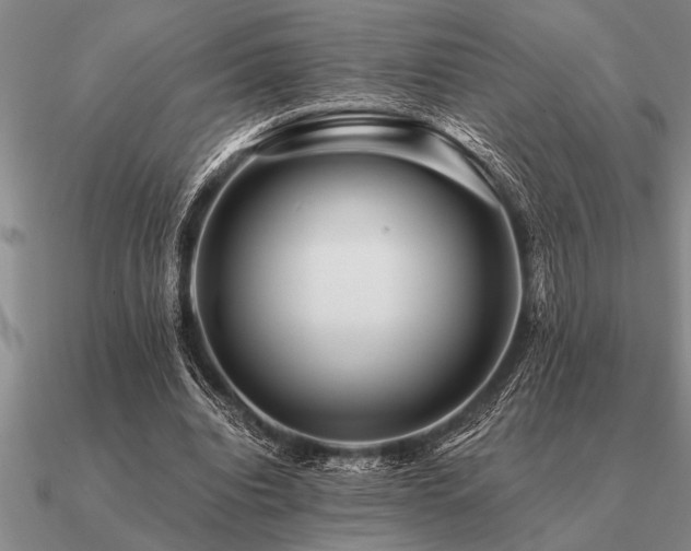 X0000091100440200708061423