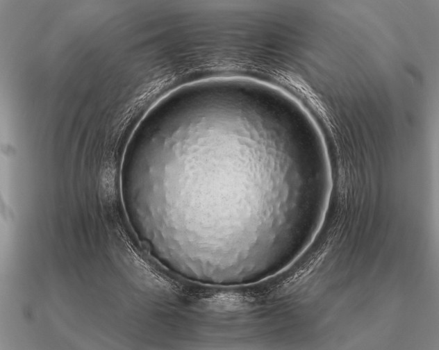 X0000091100441200708061423