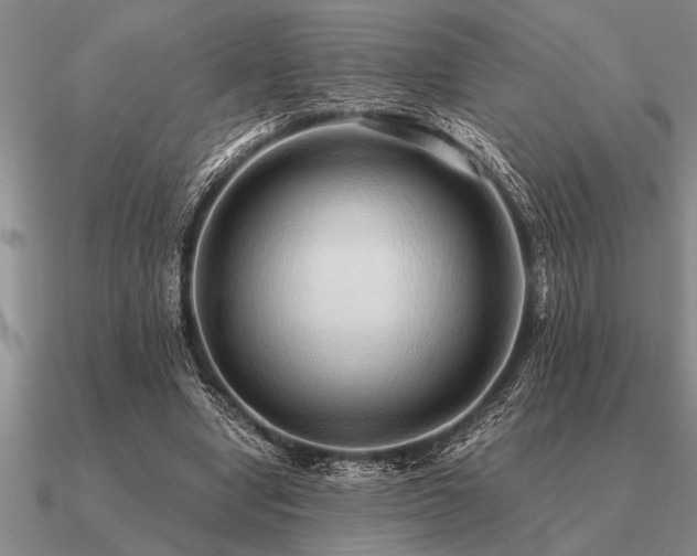 X0000091100442200708061423