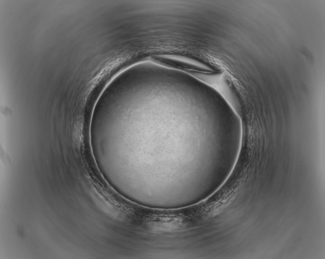 X0000091100443200708061423