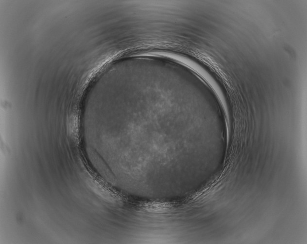 X0000091100444200708061423