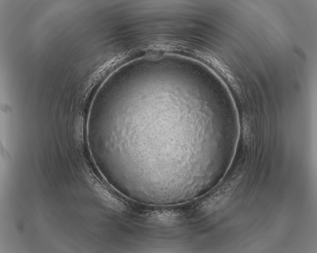 X0000091100445200708061423