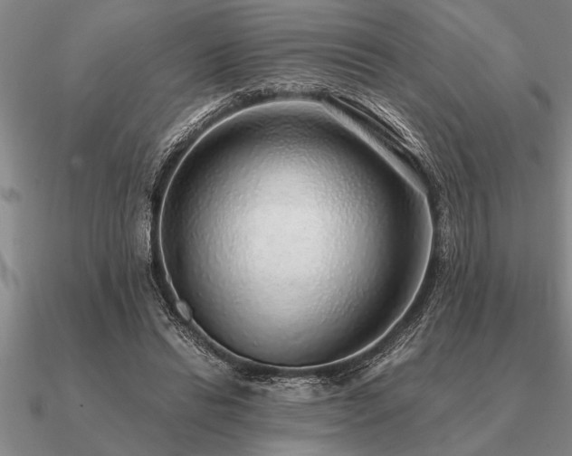 X0000091100446200708061423