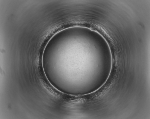 X0000091100447200708061423