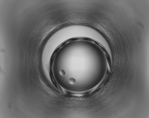 X0000091100448200708061423