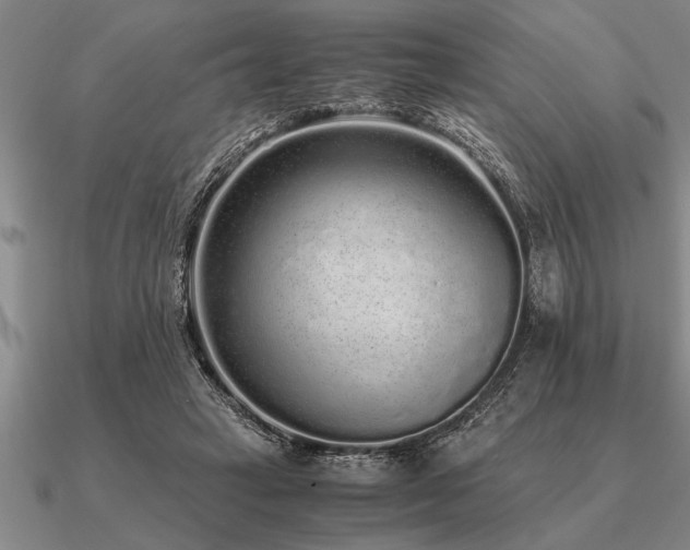 X0000091100449200708061423