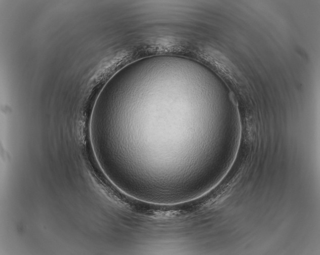 X0000091100450200708061423