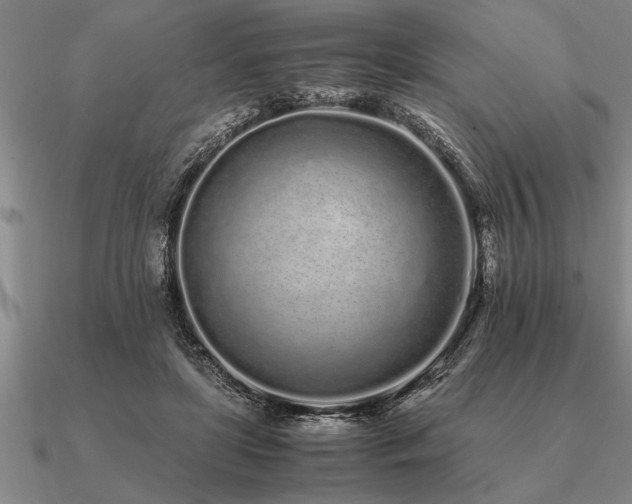 X0000091100451200708061423