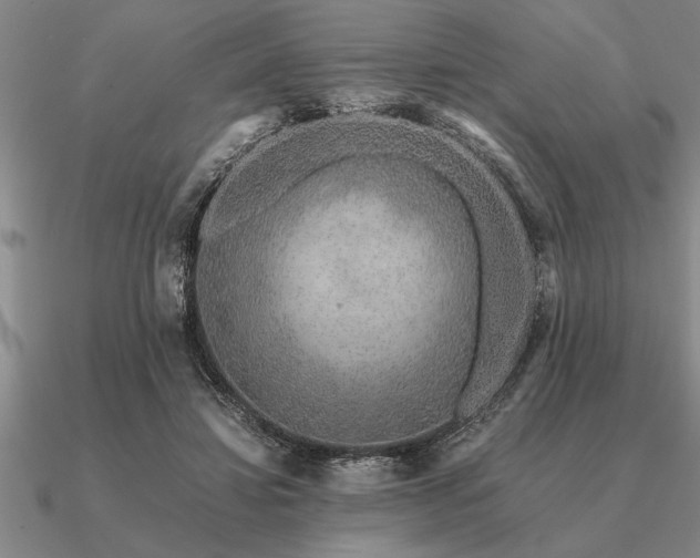 X0000091100452200708061423