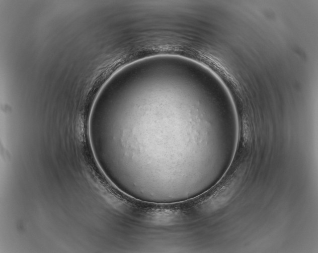 X0000091100453200708061423