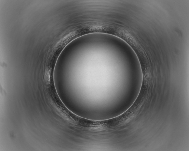 X0000091100454200708061423