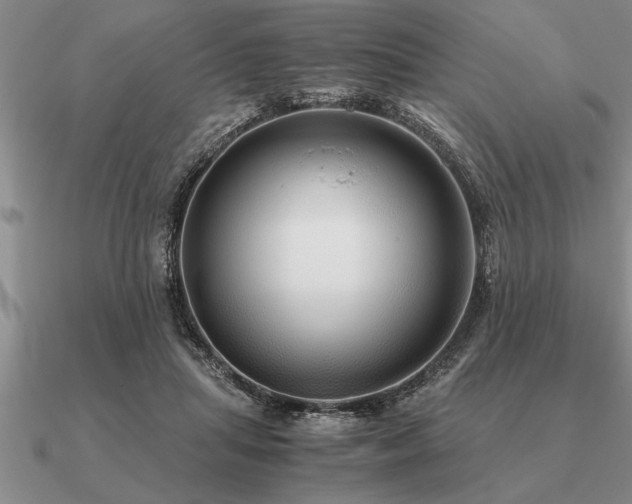 X0000091100455200708061423