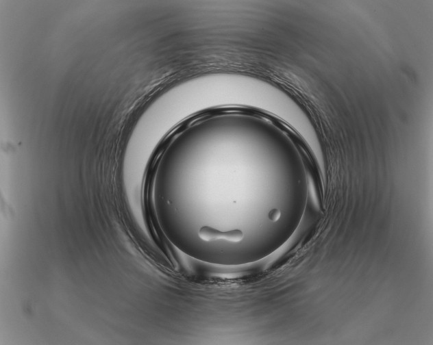 X0000091100456200708061423