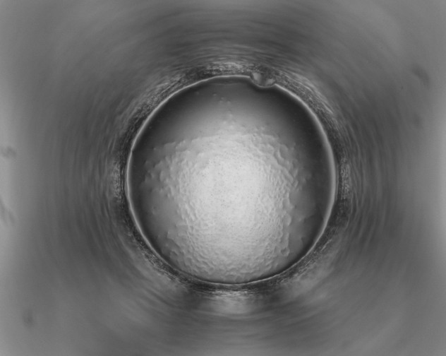 X0000091100457200708061423